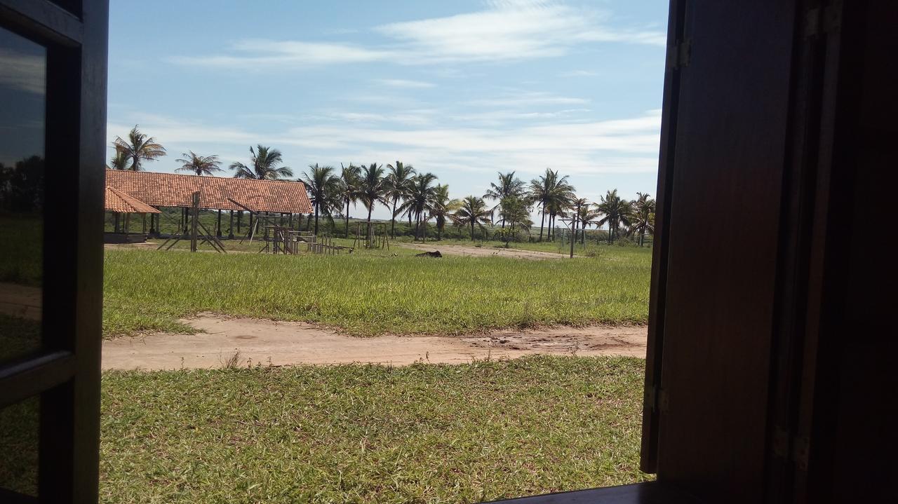 Bed and Breakfast Fazenda Sao Felipe à São Francisco de Itabapoana Extérieur photo